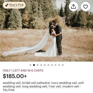 Noon on the Moon soft white cathedral wedding veil